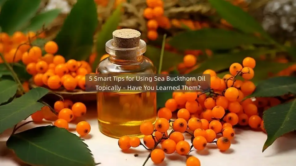 5 Smart Tips for Using Sea Buckthorn Oil Topically – Have You Learned Them?